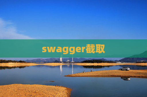 swagger截取